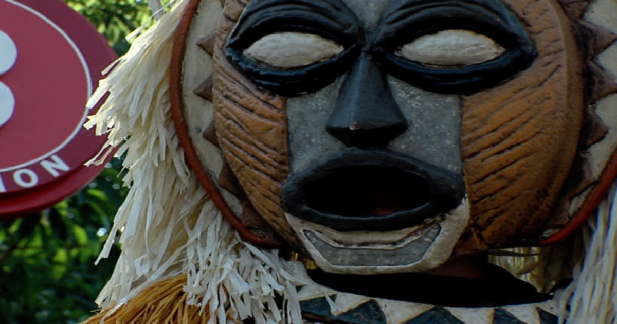 Three orphaned mountain lions were rescued with the help of their mom’s gps collar, a california zoo said. San Diego Zoo's 'Nighttime' spectacle brings afterhours shows, animal